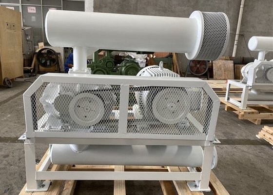 10-80Kpa PRM1500-2200 DN50 انفجاری ریشه سه لبه برای تصفیه آب