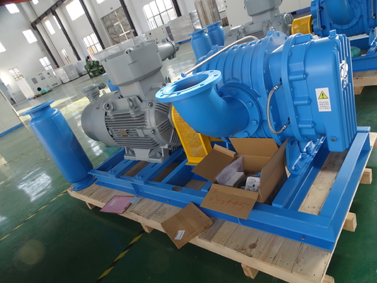 دمنده روتس استیل ضد زنگ DN40 0.42-1.42 متر مکعب بر دقیقه برای گاز خاص