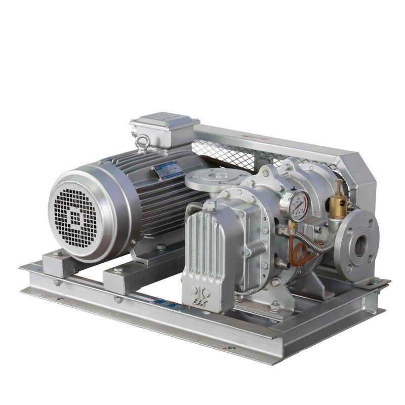 BX100 4'' 3.18-11.74 m3/min 0.1-0.7 kgf/cm2 BX سری فولاد ضد زنگ ریشه های تنفس