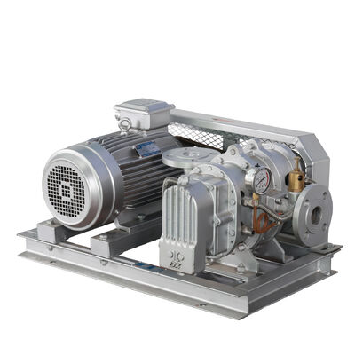 BX100 4'' 3.18-11.74 m3/min 0.1-0.7 kgf/cm2 BX سری فولاد ضد زنگ ریشه های تنفس