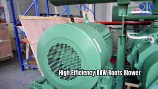 BKW Roots Blower